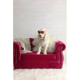 pink dog couch