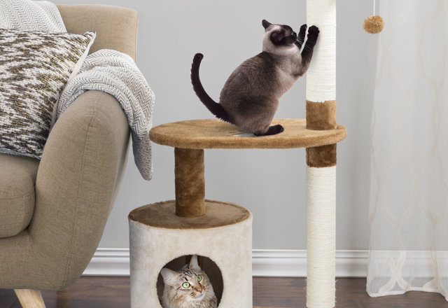 Cat Trees Under $50