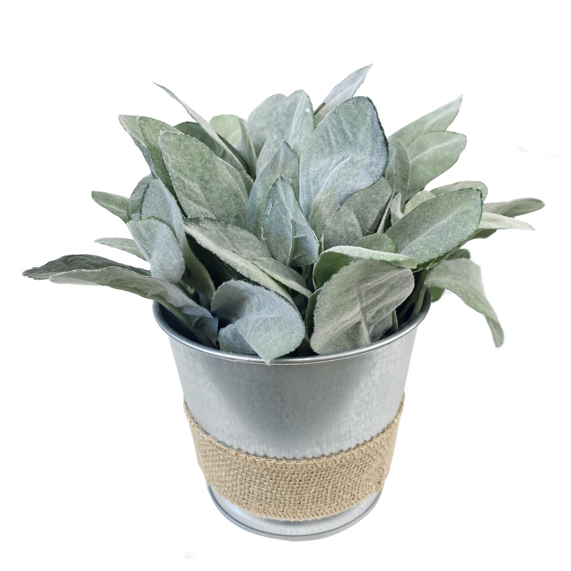 Primrue 3.5" Artificial Lamb's Ear Plant in Pot & Reviews Wayfair