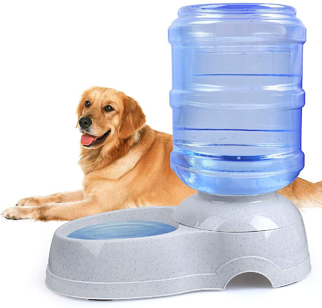 big dog drinking fountain