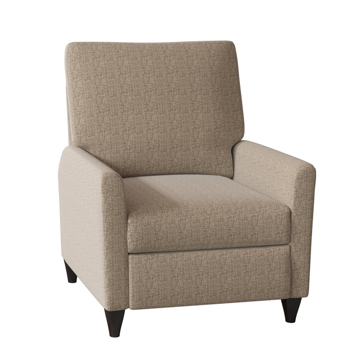 Wade Logan Ziolkowski 31" Wide Manual Recliner