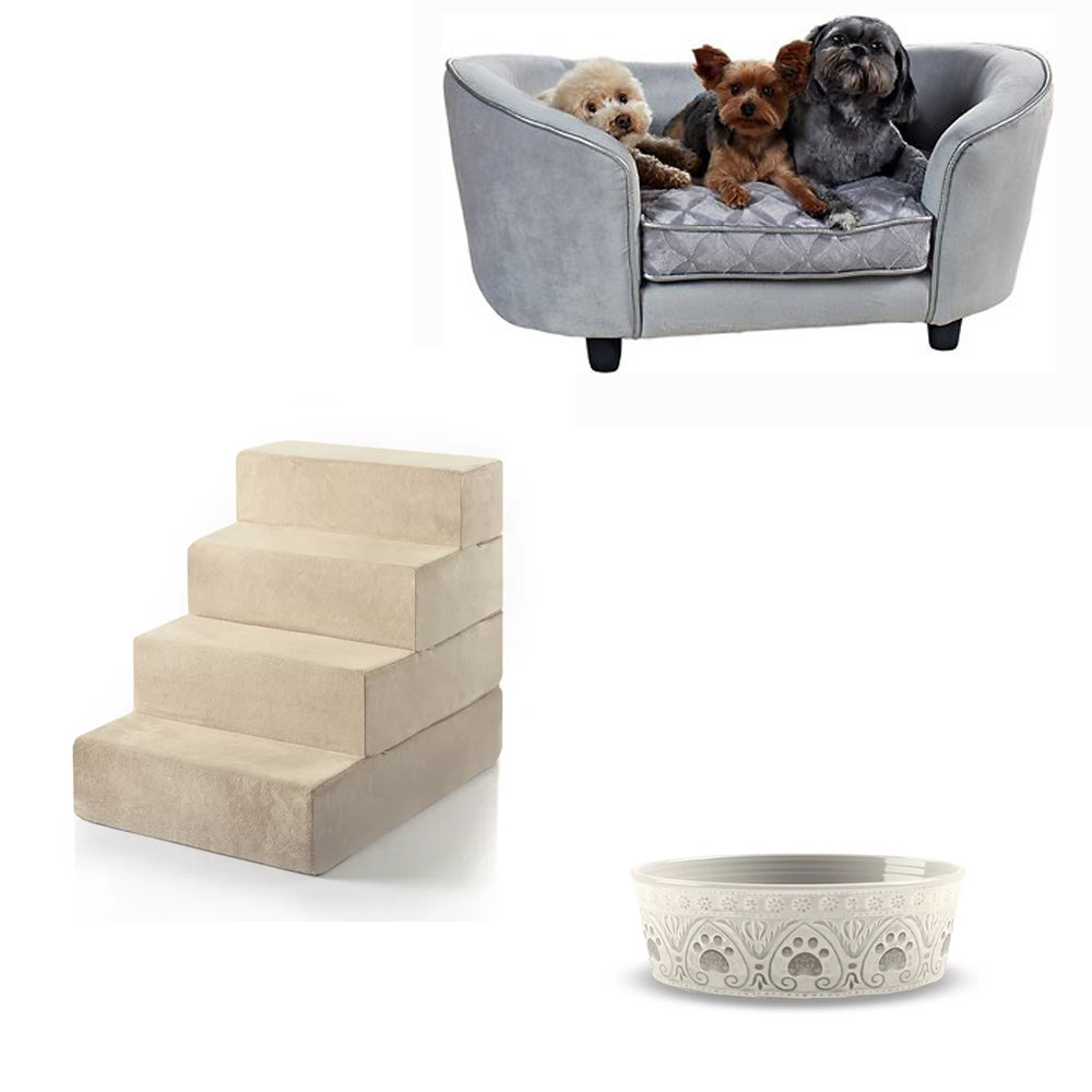 constantine dog sofa