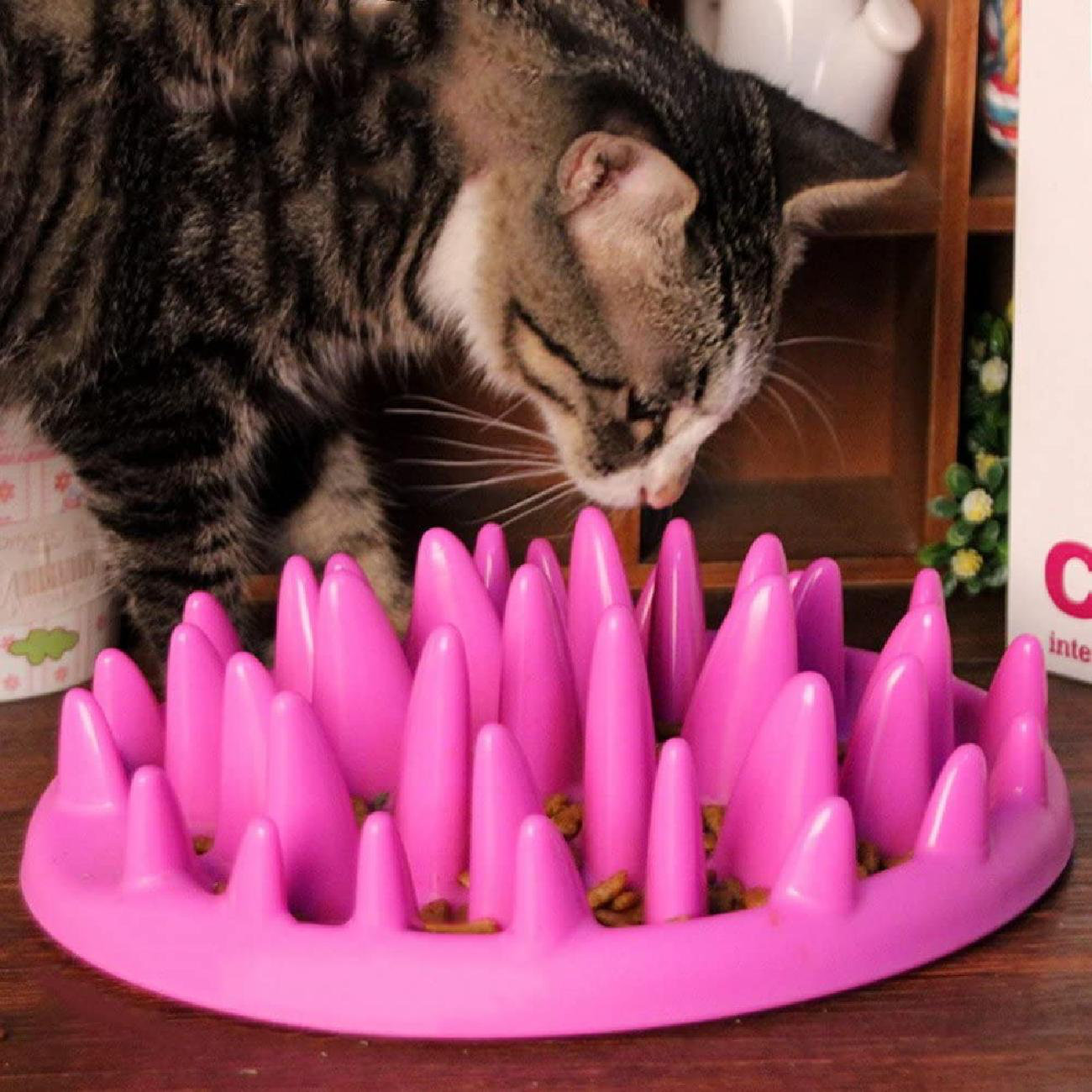interactive feeder for cats