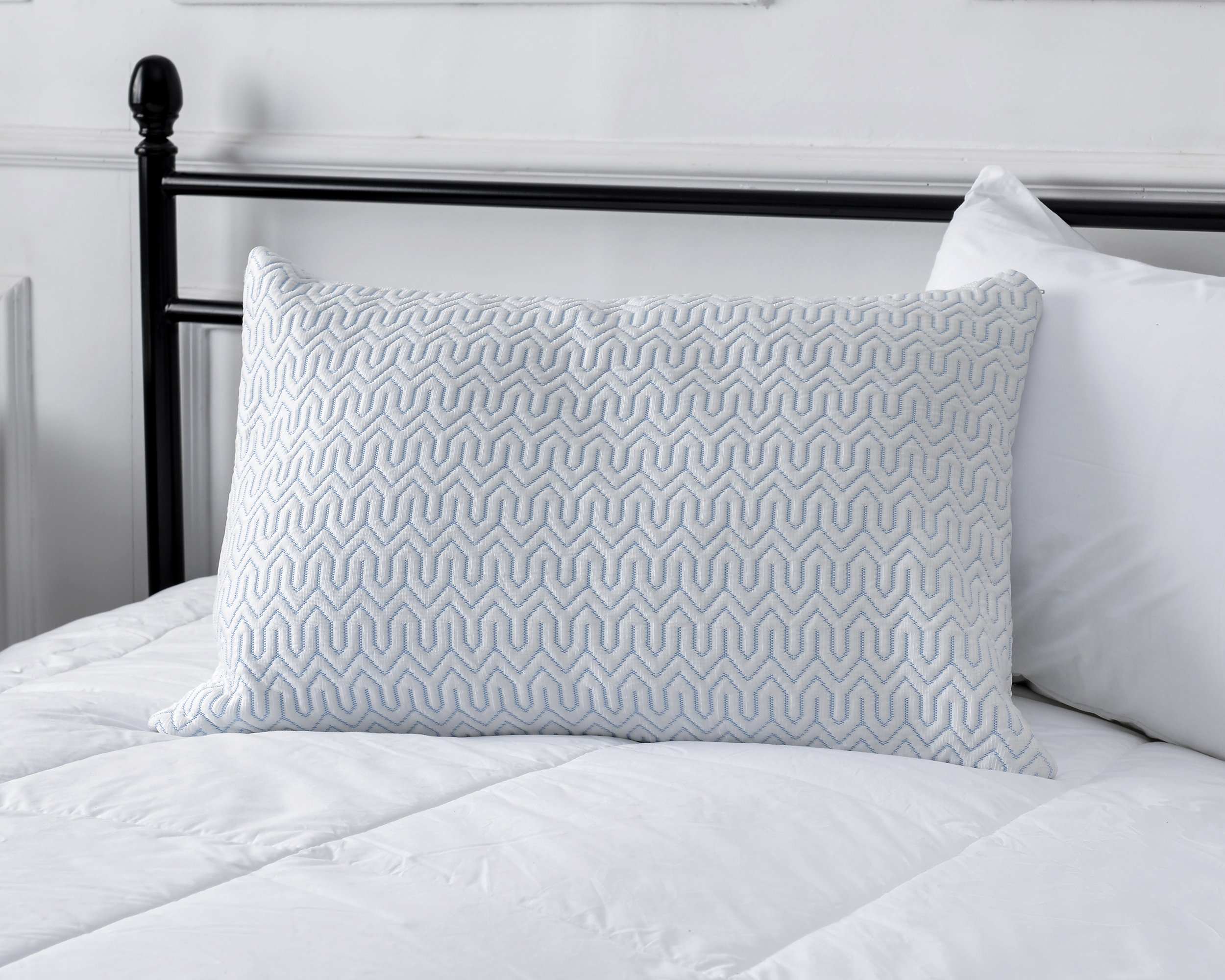 wellness memory foam pillow