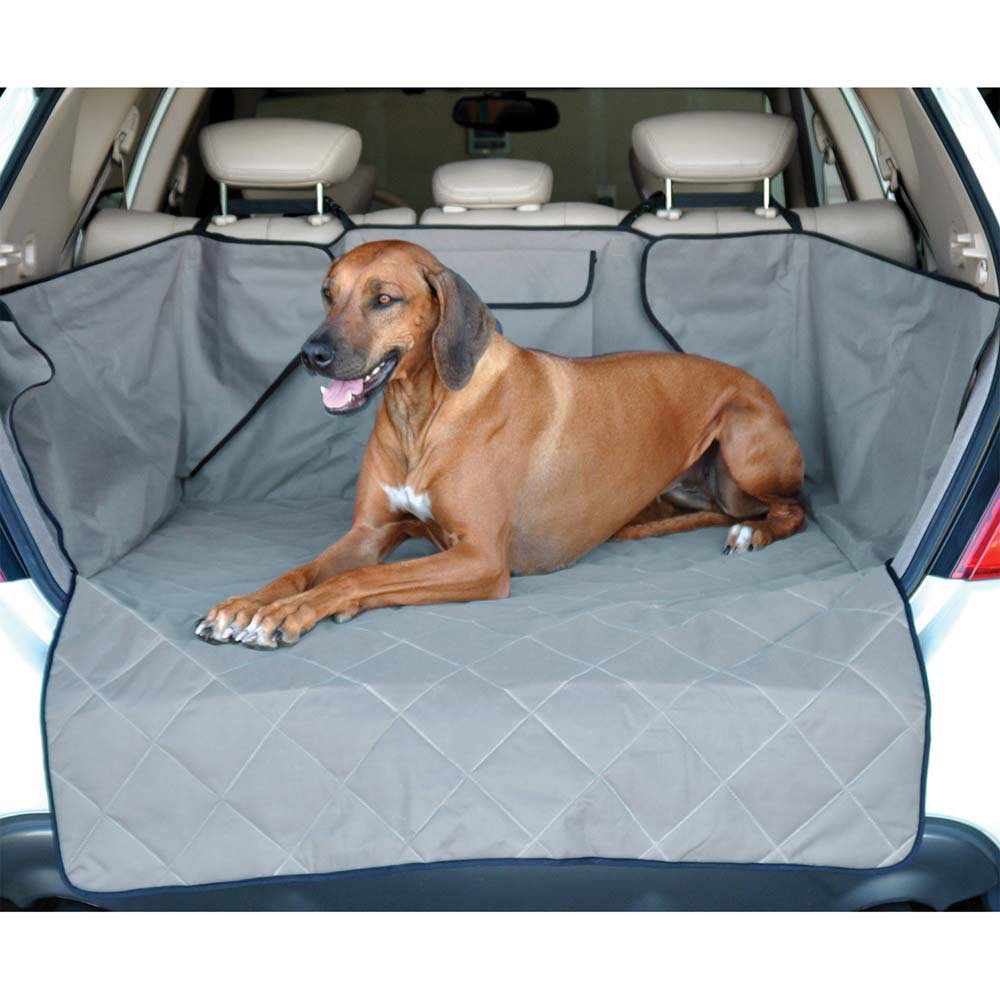 pet cargo carrier