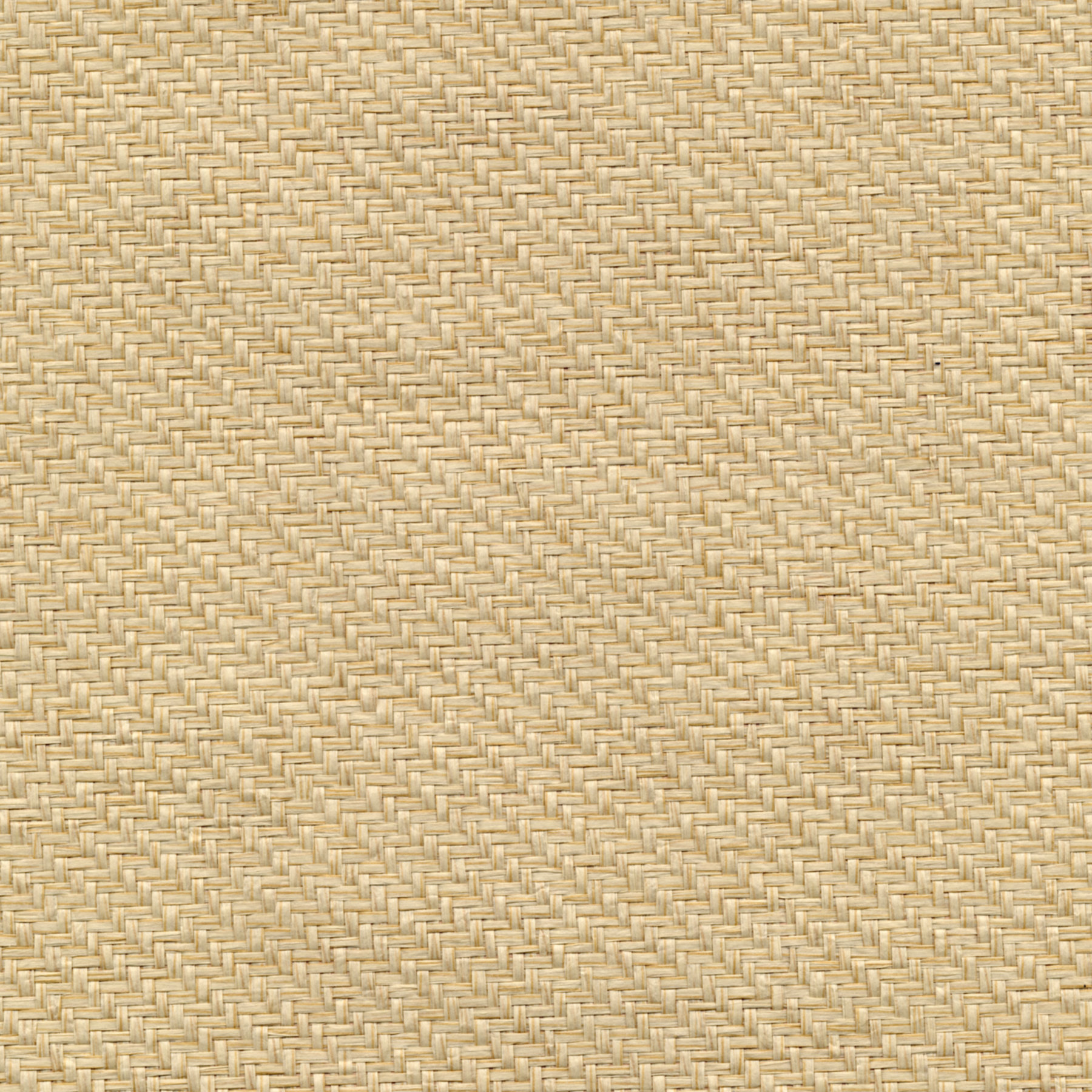 Beachcrest Home Vela 24&rsquo;L x 36" W Wallpaper Roll | Wayfair