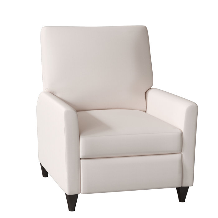 Wade Logan Ziolkowski 31" Wide Manual Recliner