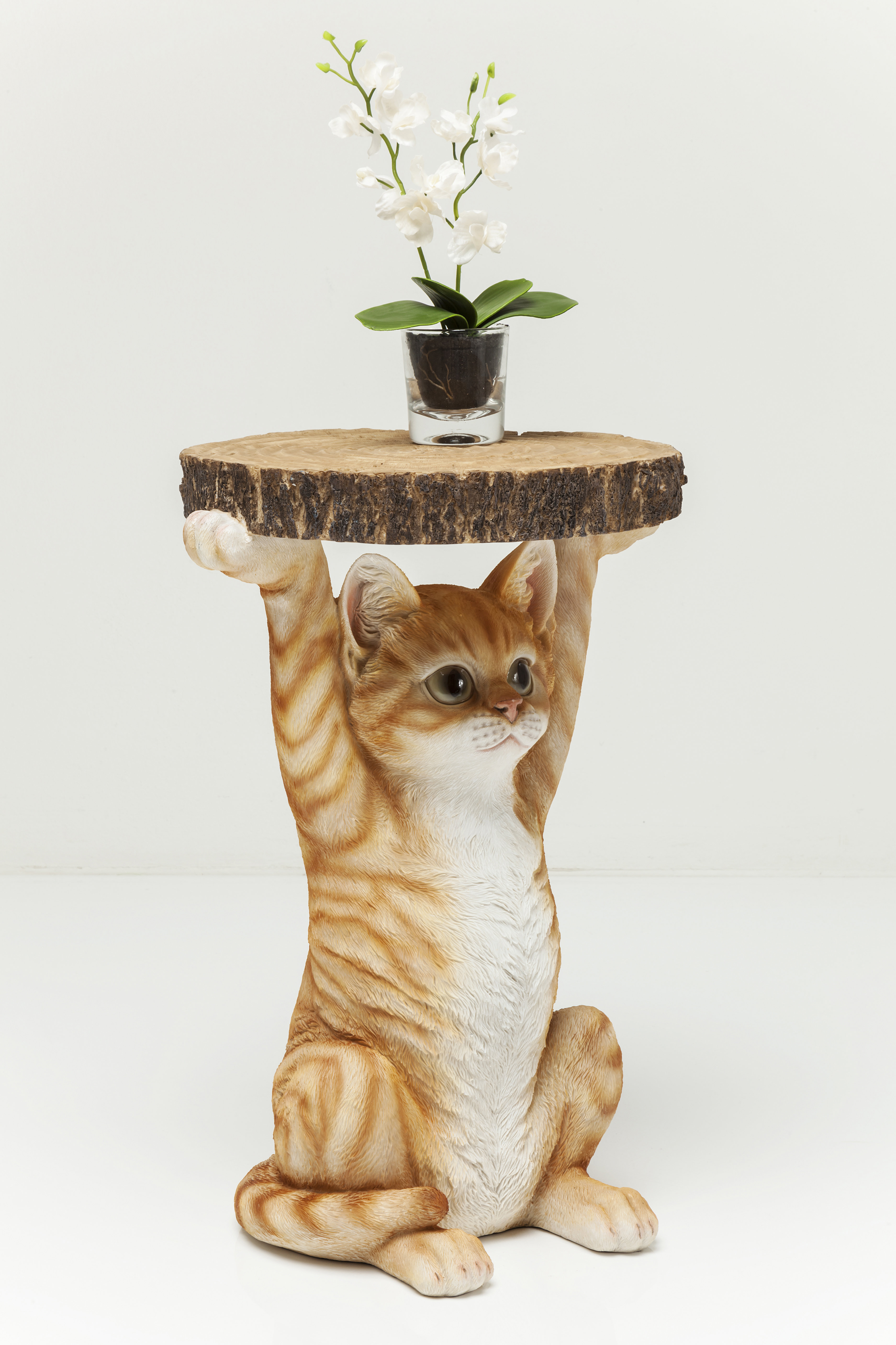 pet side table