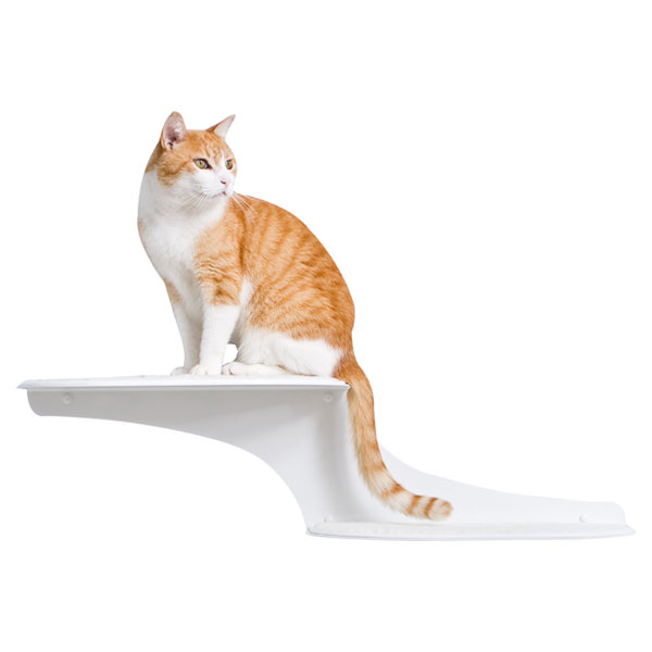 cat shelves canada