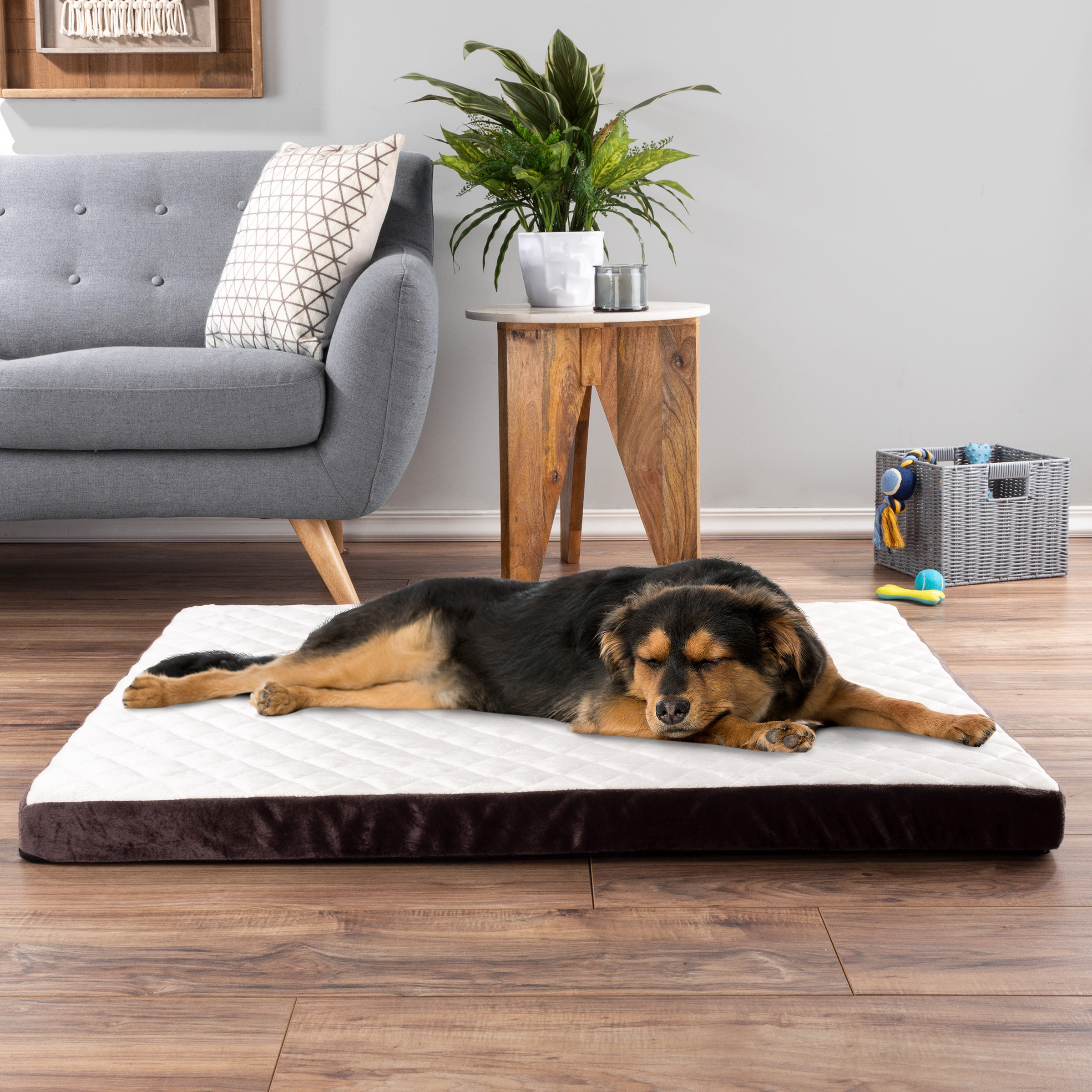 odour resistant dog bed