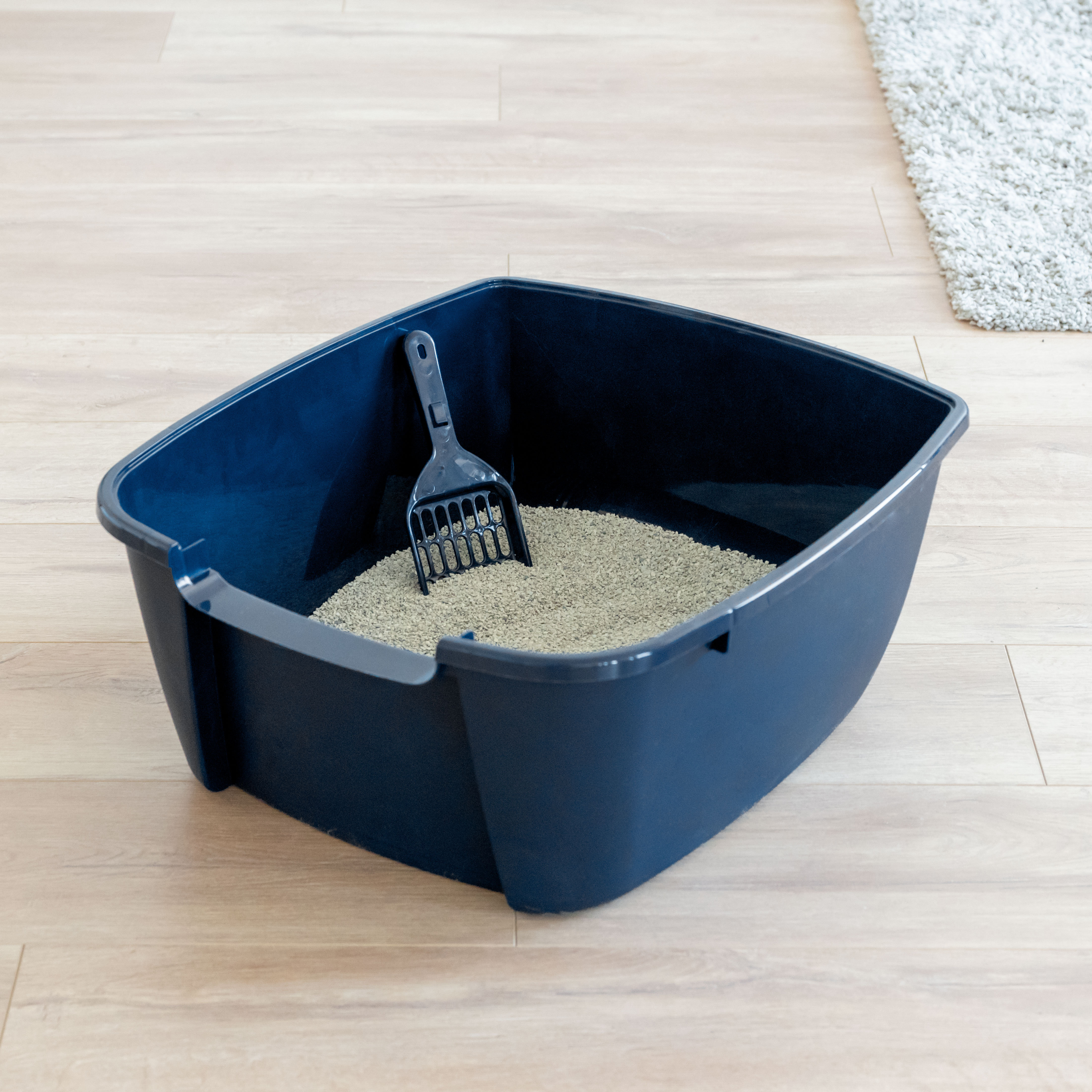 moving litter box to new location