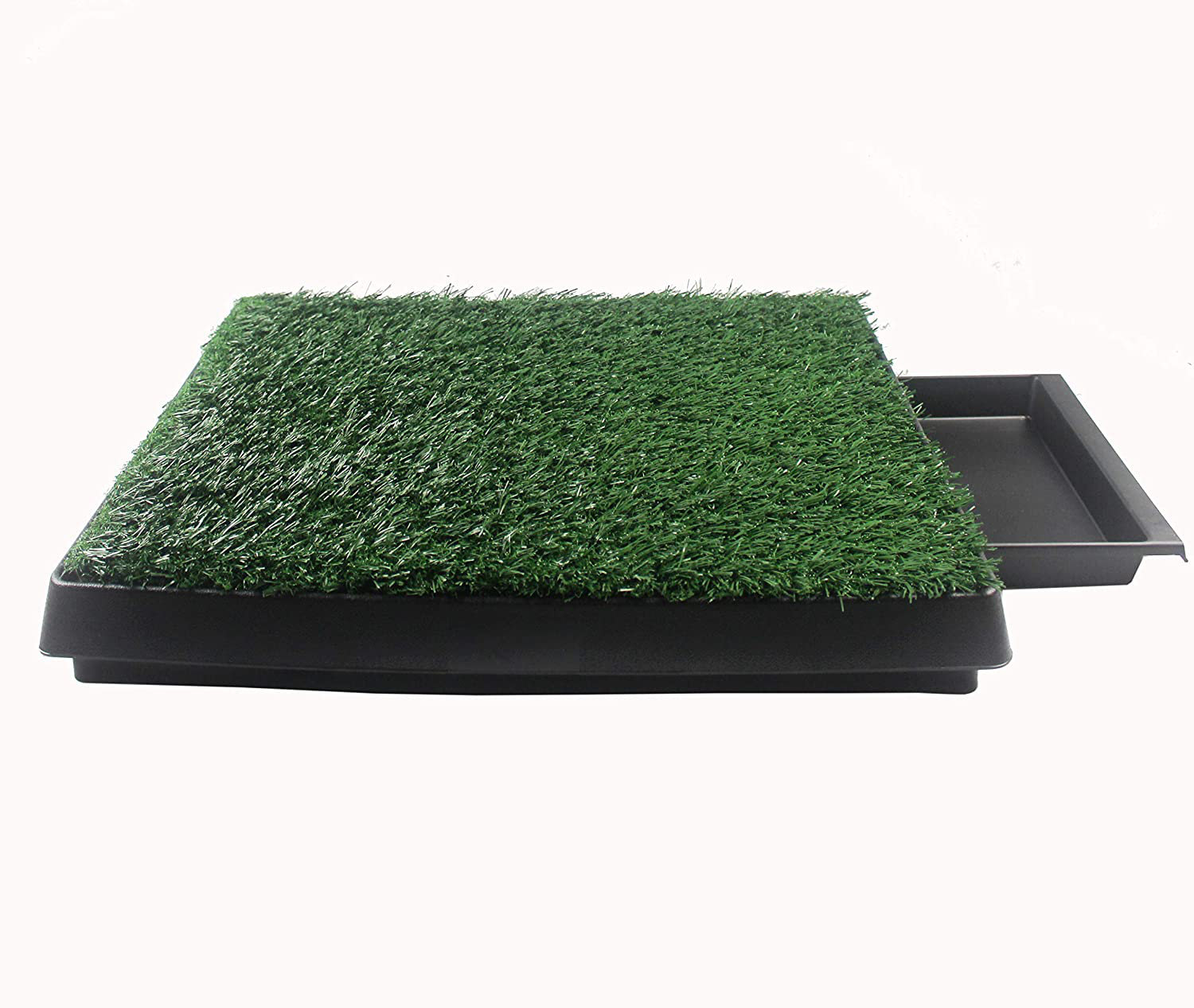 tinkle turf replacement grass