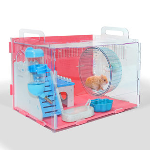 cheap hamster accessories