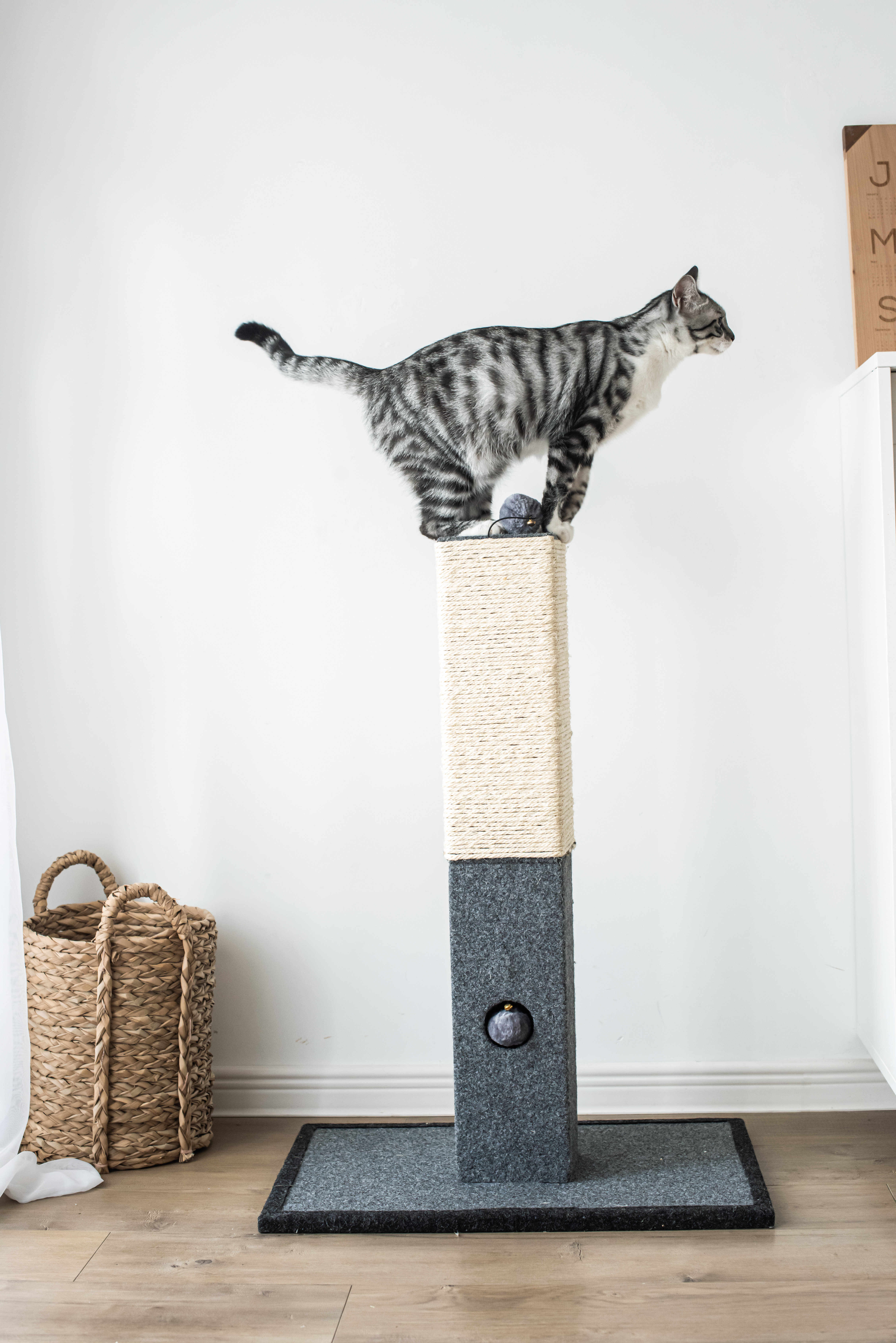cat tree scratching post