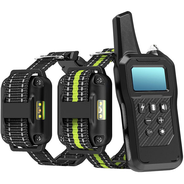 radio shock collar