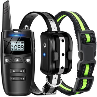 highest voltage shock collar