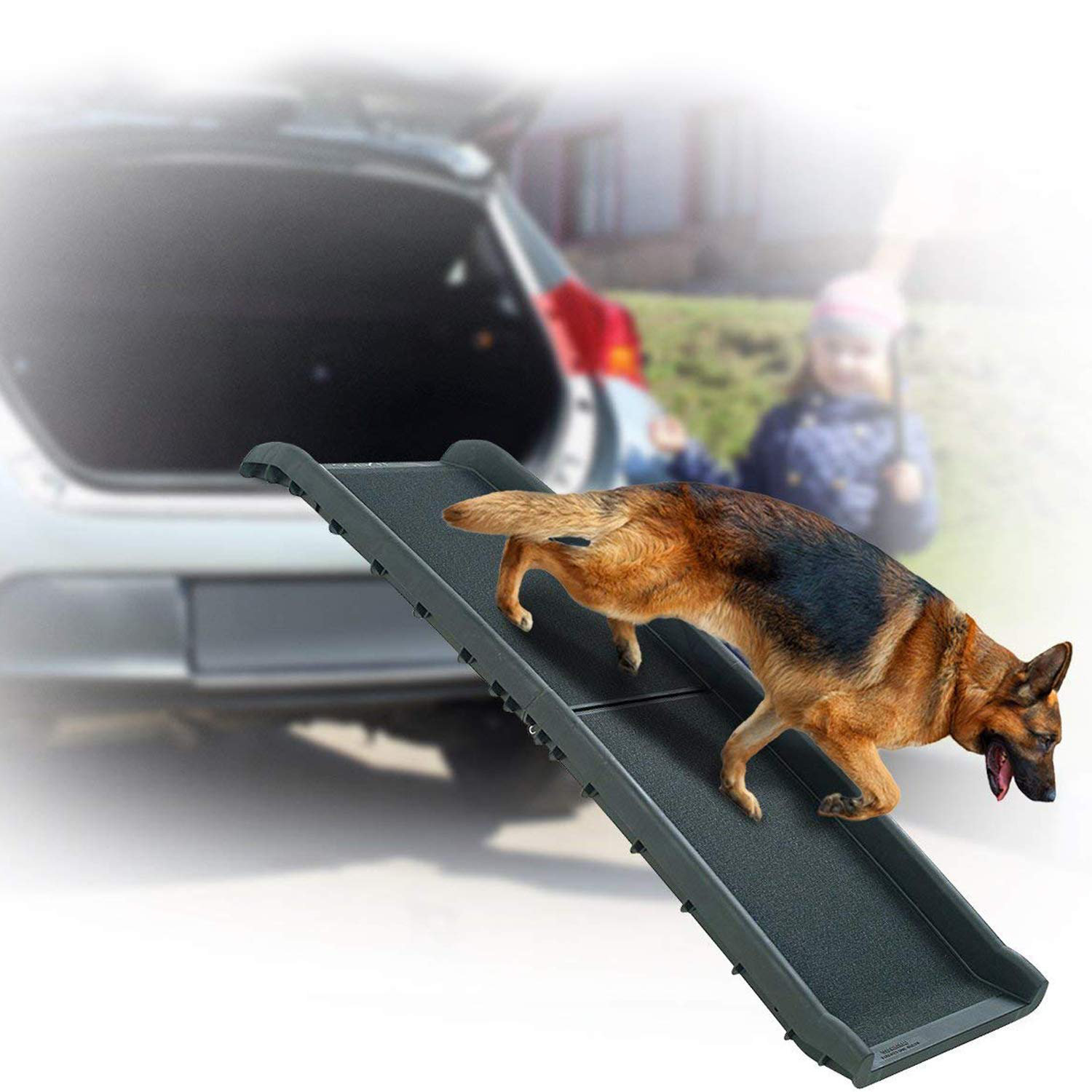 pet ramp