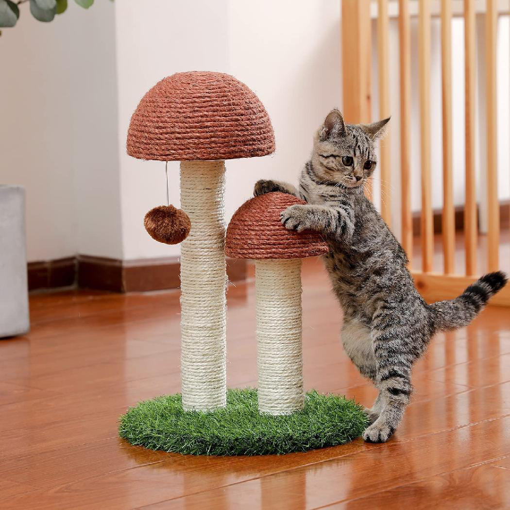 small cat scratch post