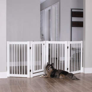 dog gates wayfair