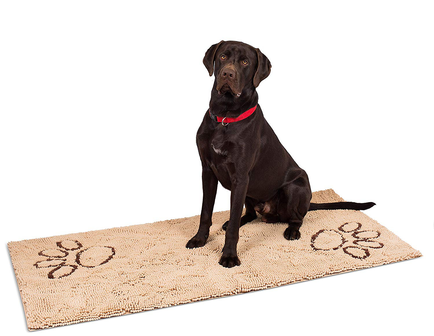 best dog mat
