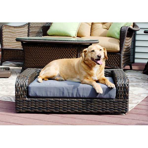 rattan dog sofa