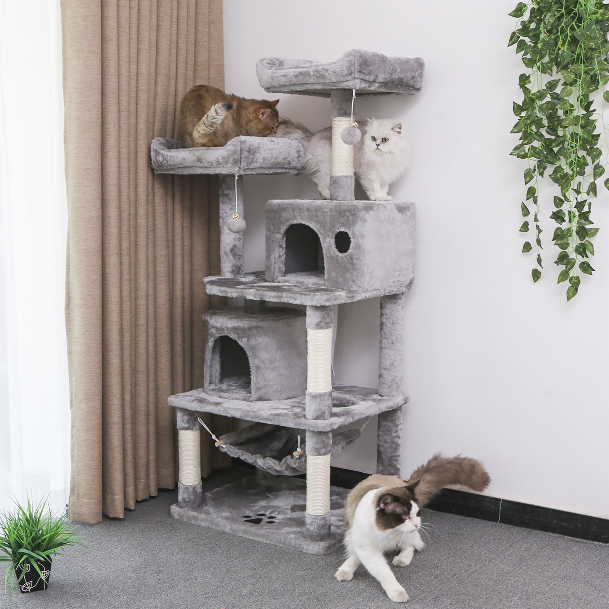 cat house for large cats