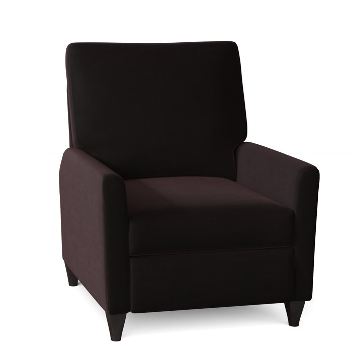 Wade Logan Ziolkowski 31" Wide Manual Recliner
