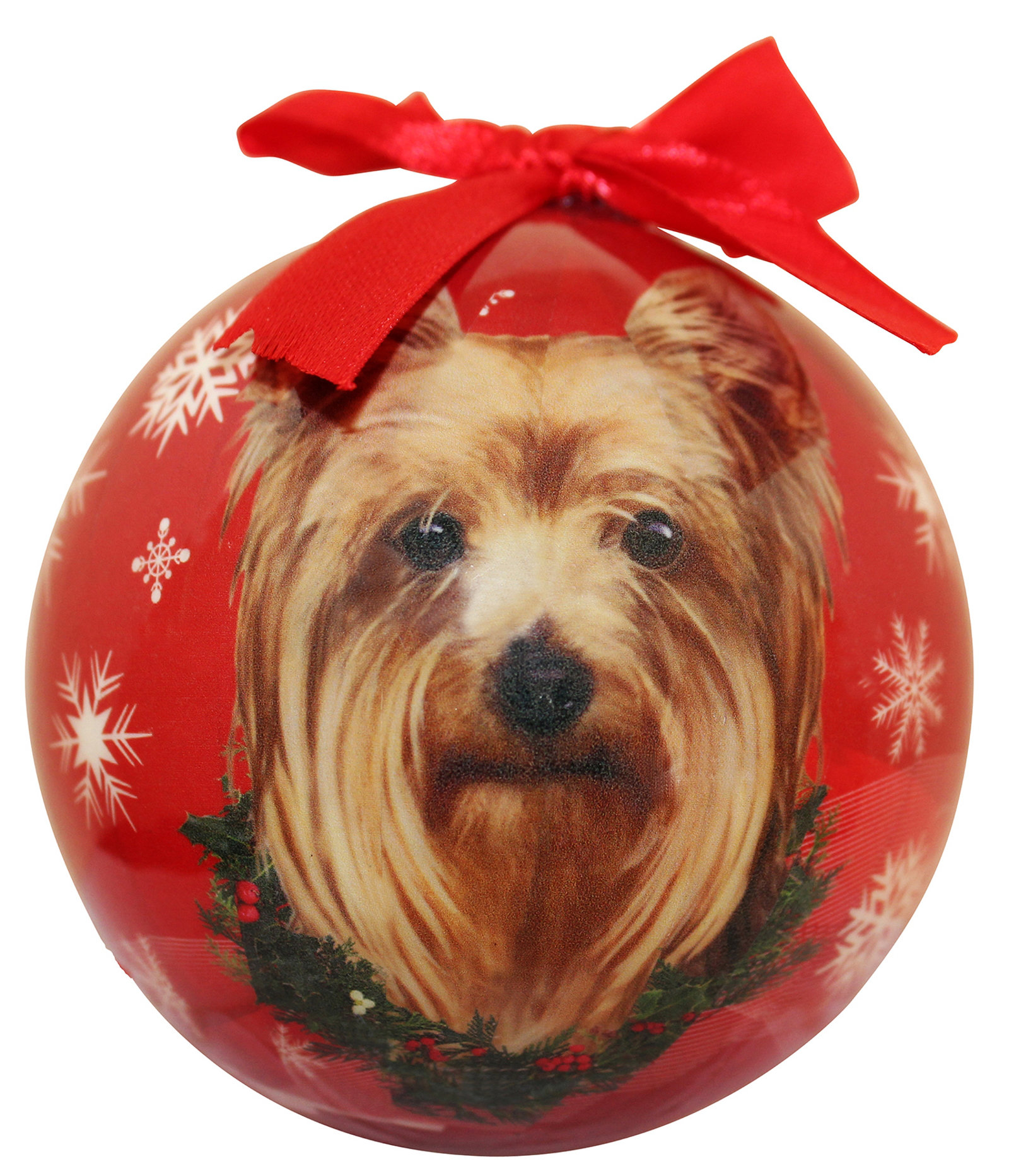 yorkie ball