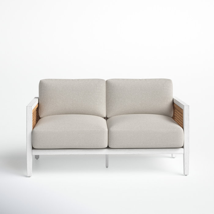 Joss and Main Eva 59" Wide Outdoor Loveseat with Cushions