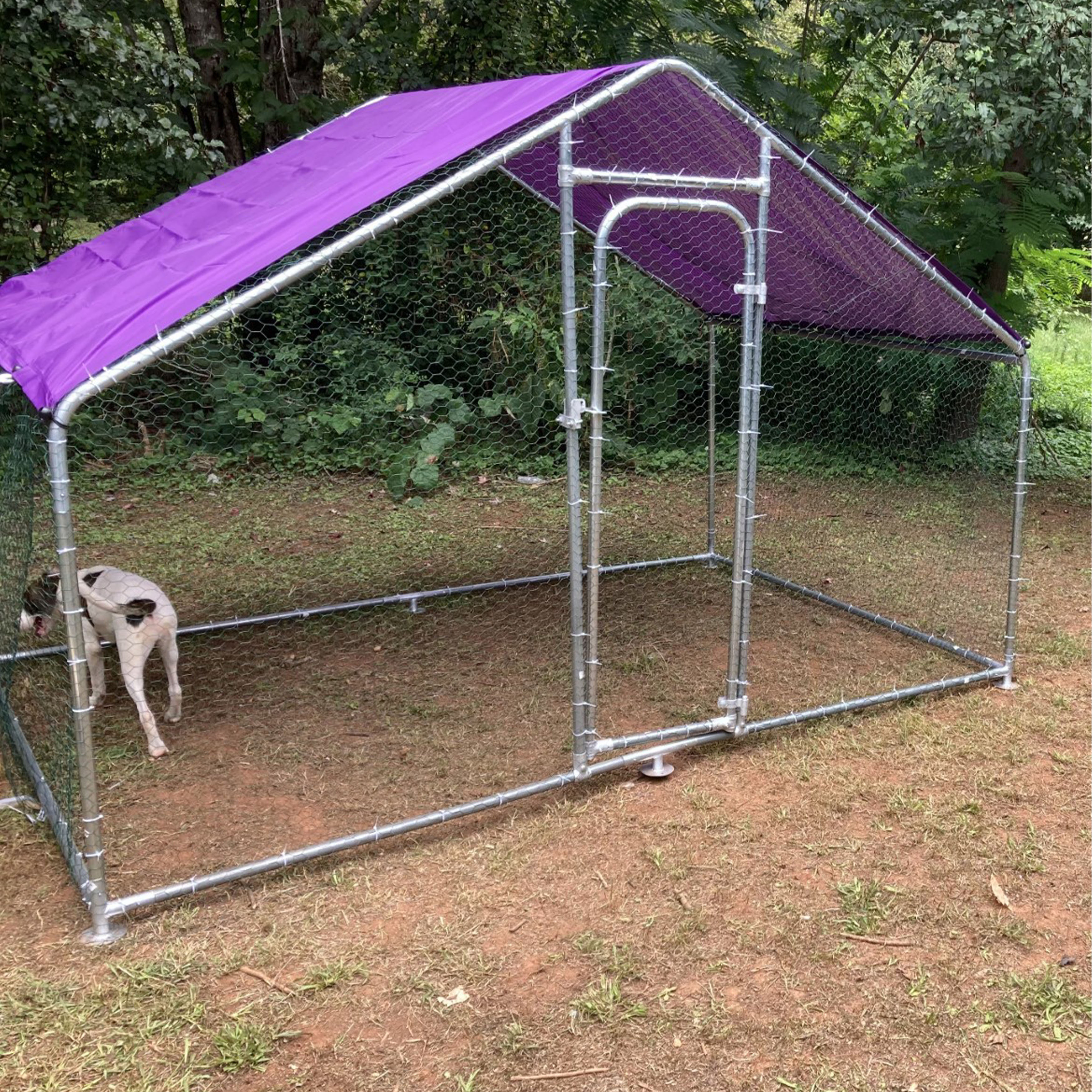 diy outdoor dog run
