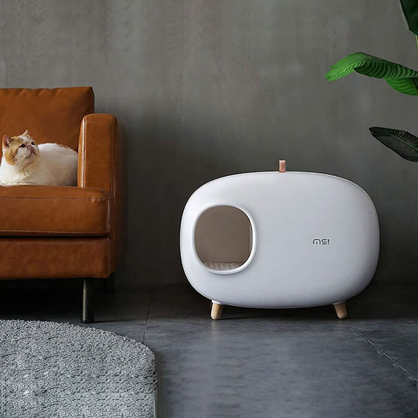 modern cat box
