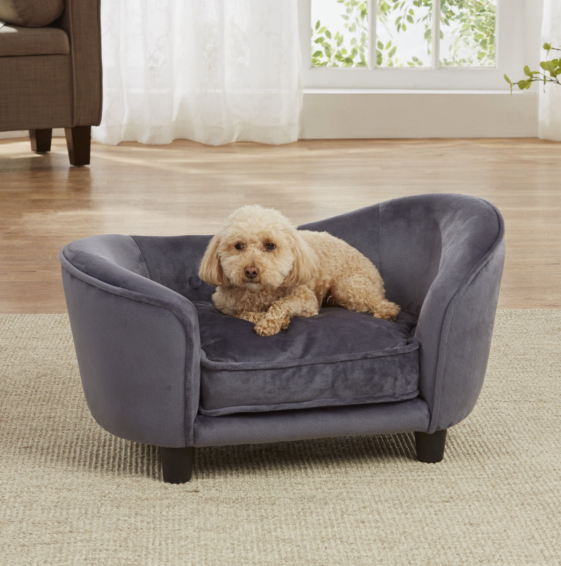 constance dog sofa
