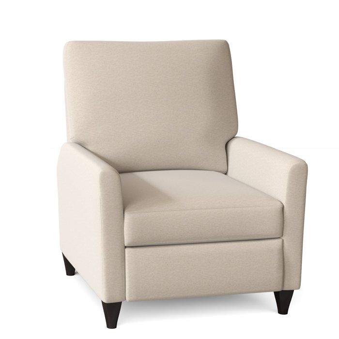 Wade Logan Ziolkowski 31" Wide Manual Recliner