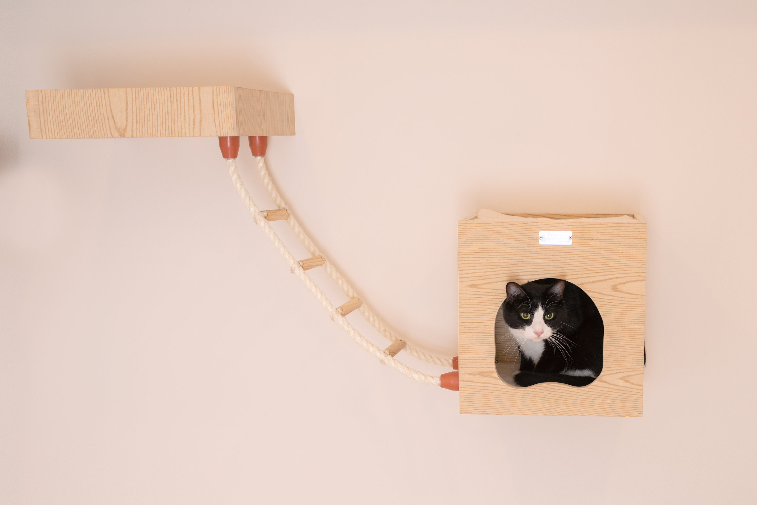 pet cat ladder