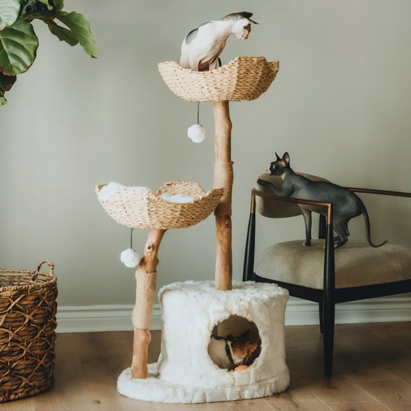rattan cat tree