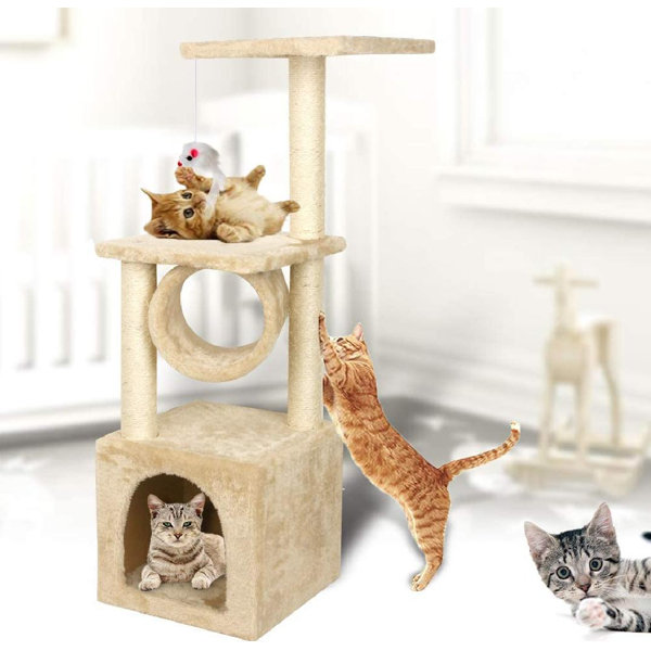 best cat activity tree