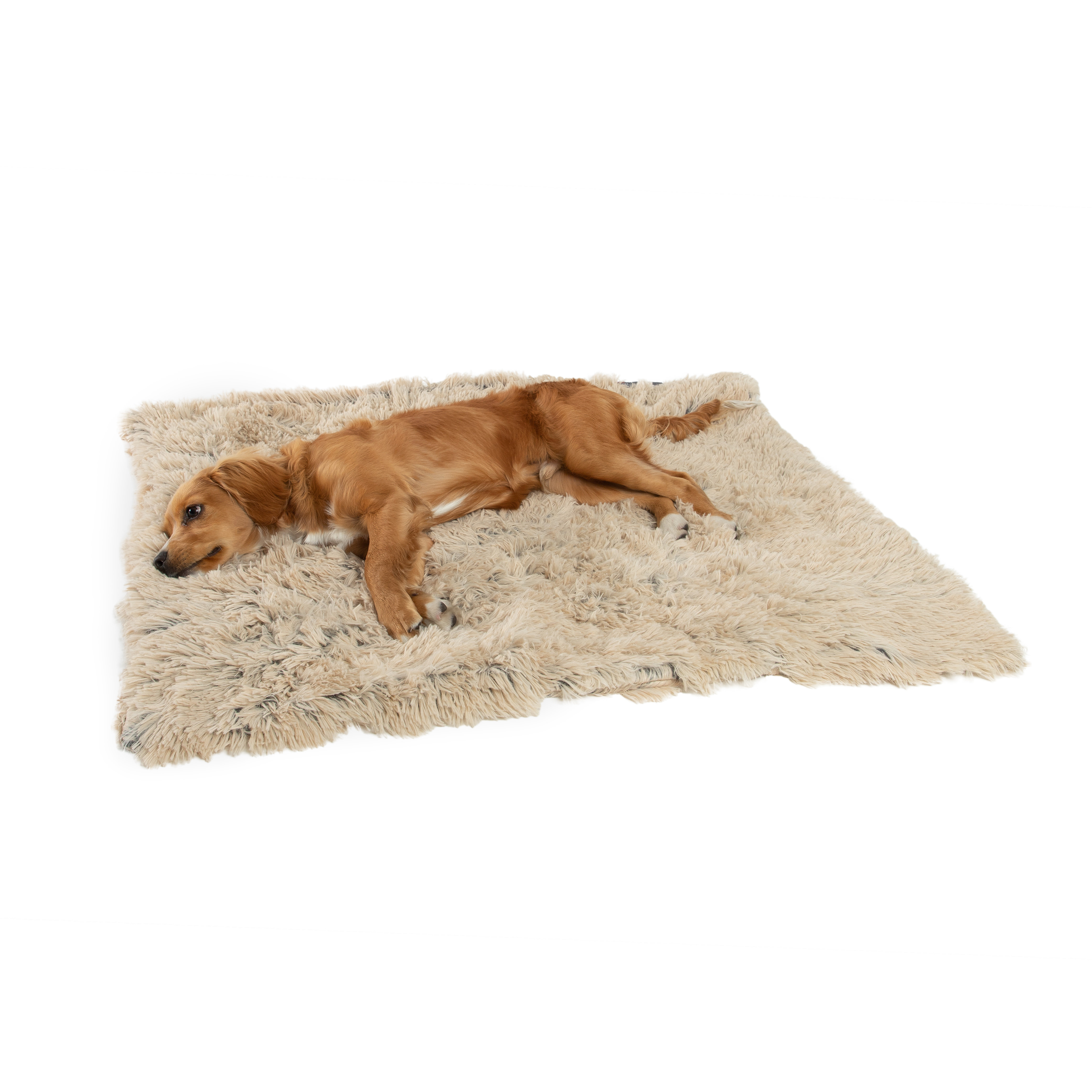 pet blankets