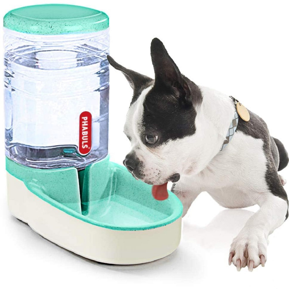 large dog automatic water dispenser