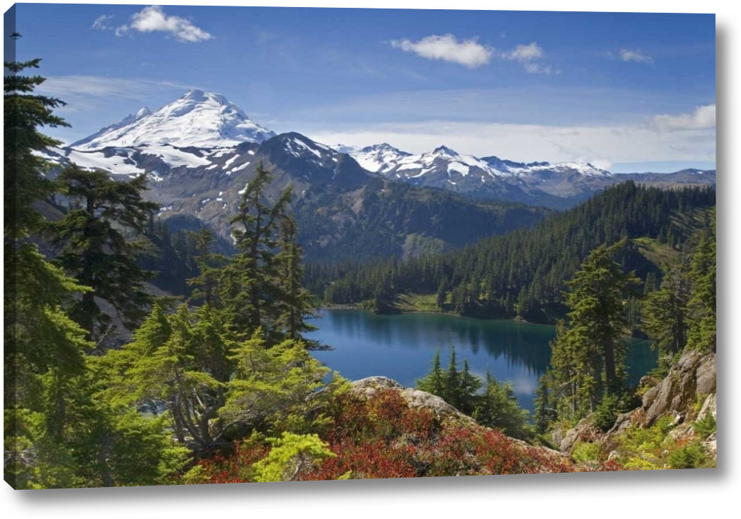 Mt baker fireplace shop