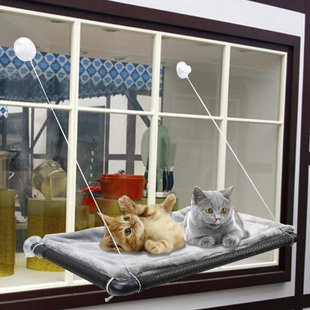 large enclosed cat bed