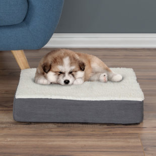 dog bed cushion insert