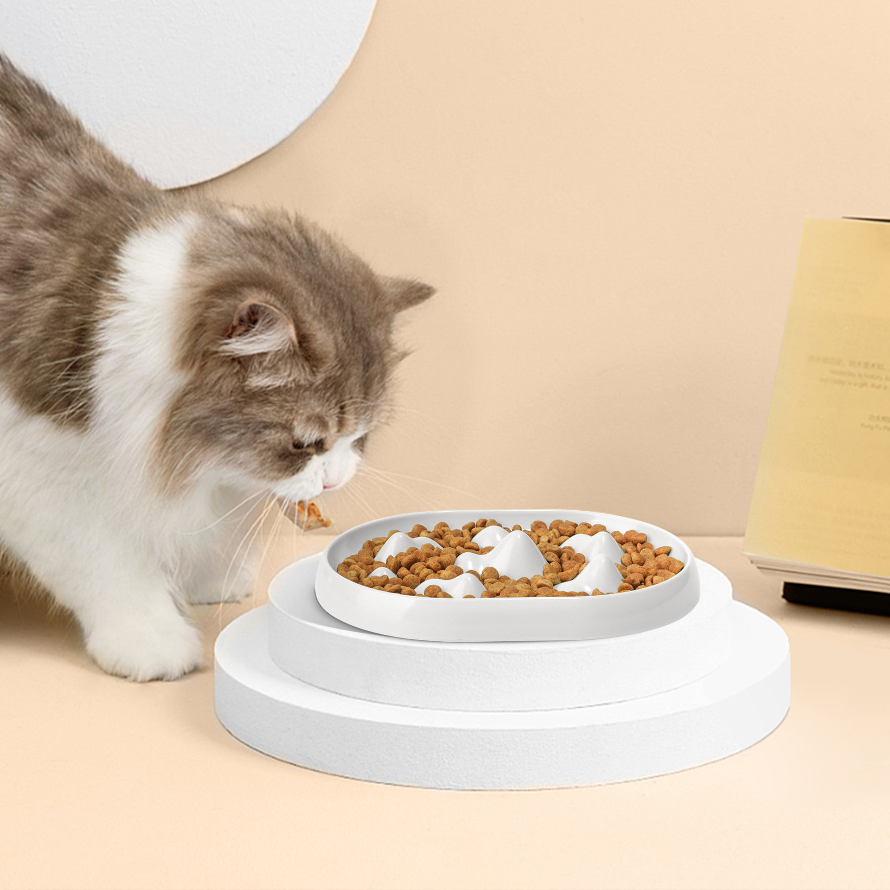 cat feeder slow down