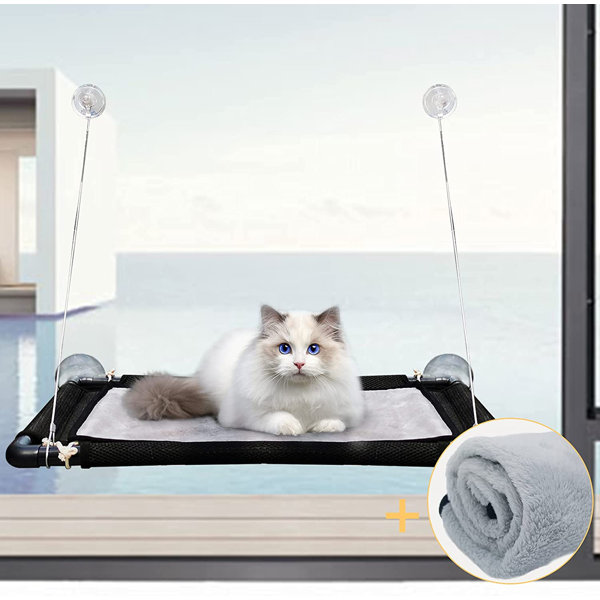yawning kitty hammock