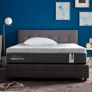 oreiller tempur pedic adapt