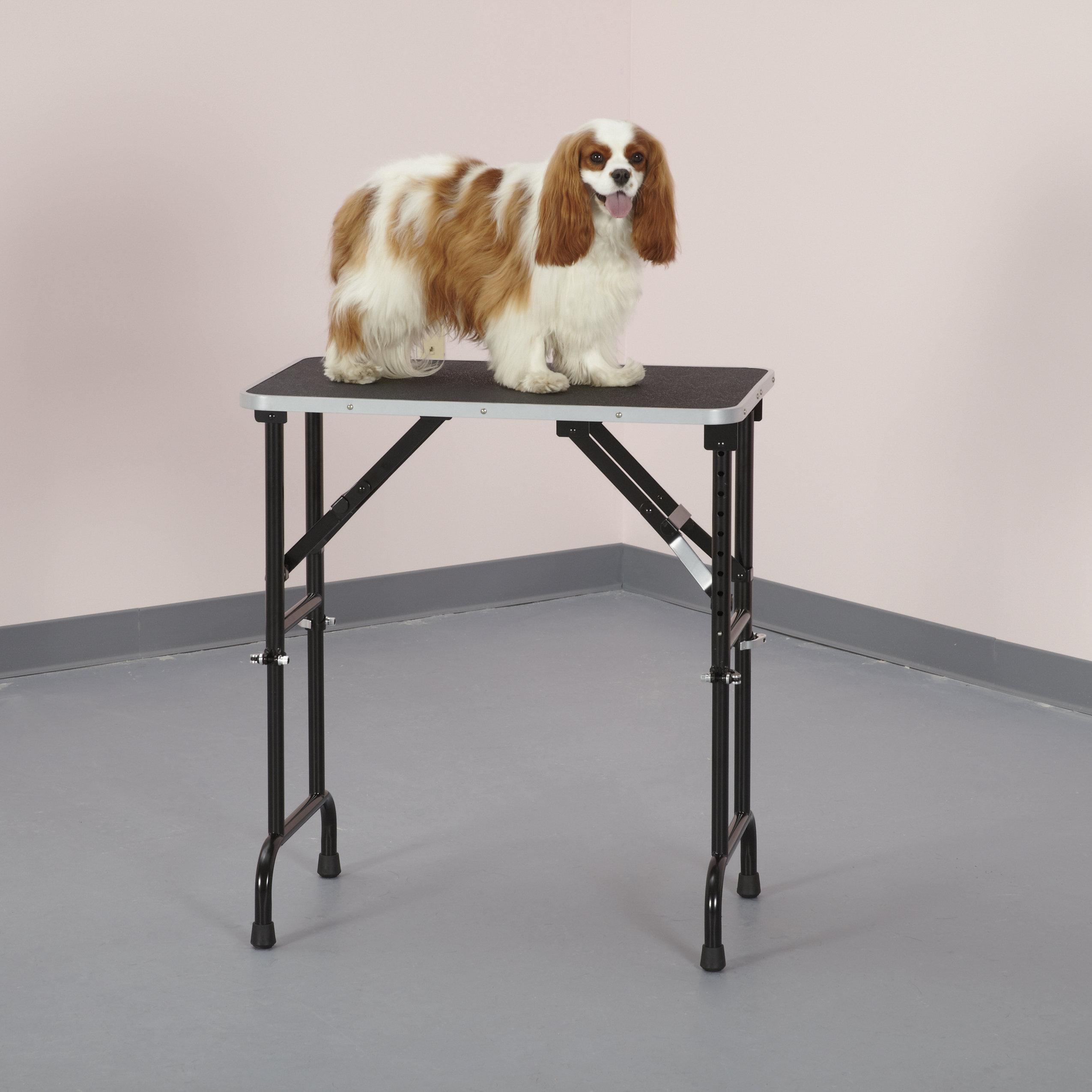 adjustable grooming table
