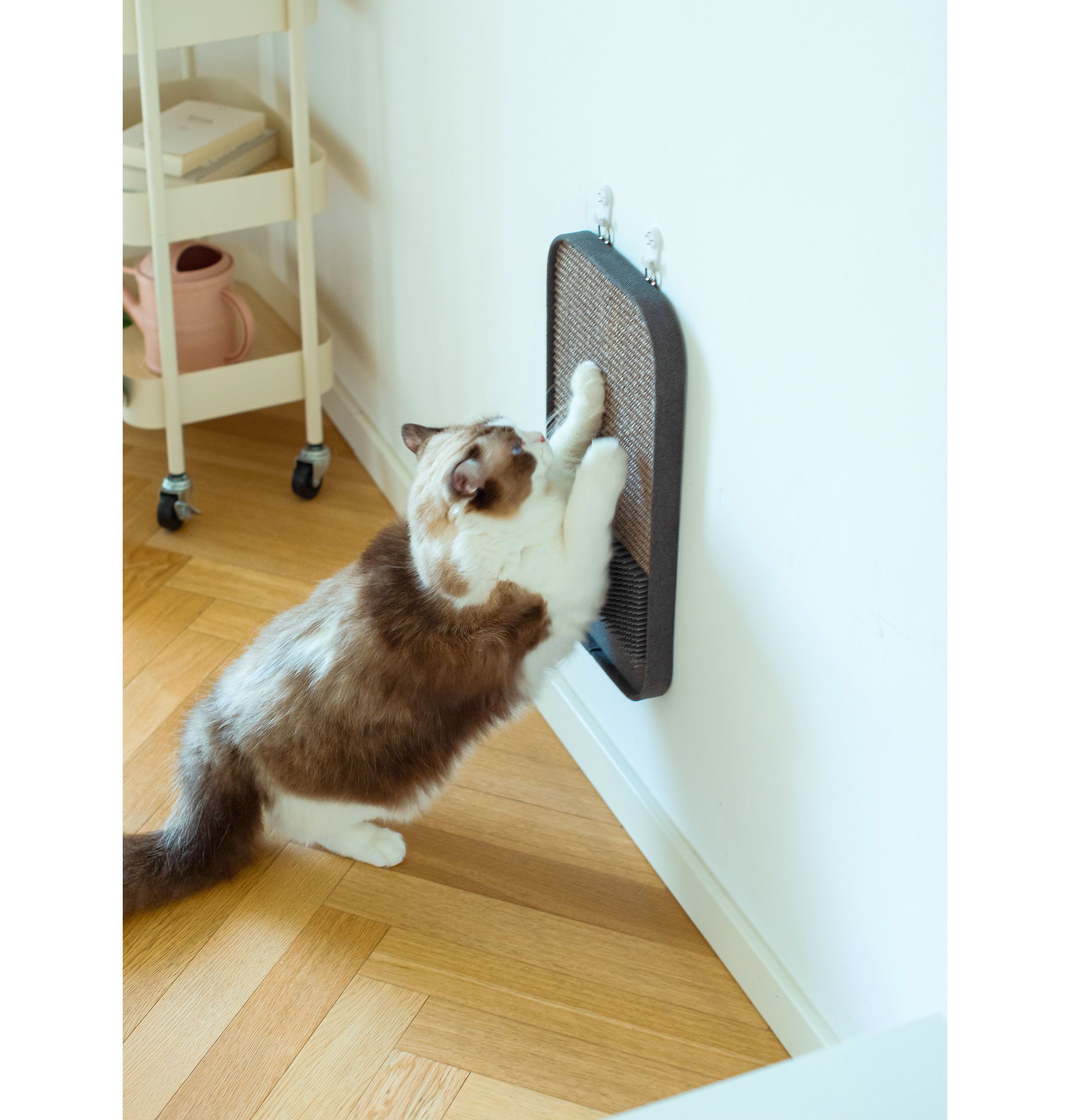 cat wall scratcher