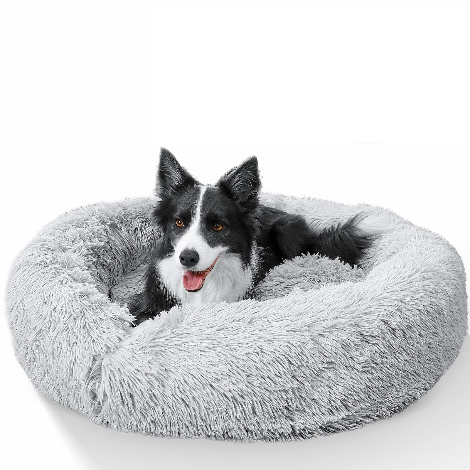 self warming dog bed