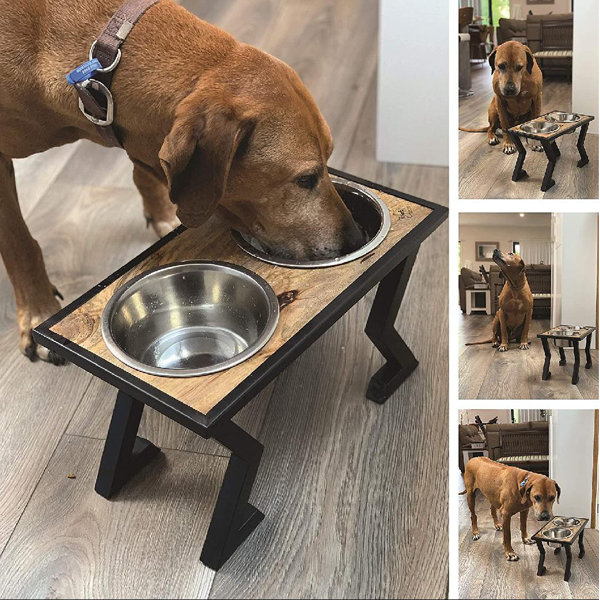 dog water and food bowl stand