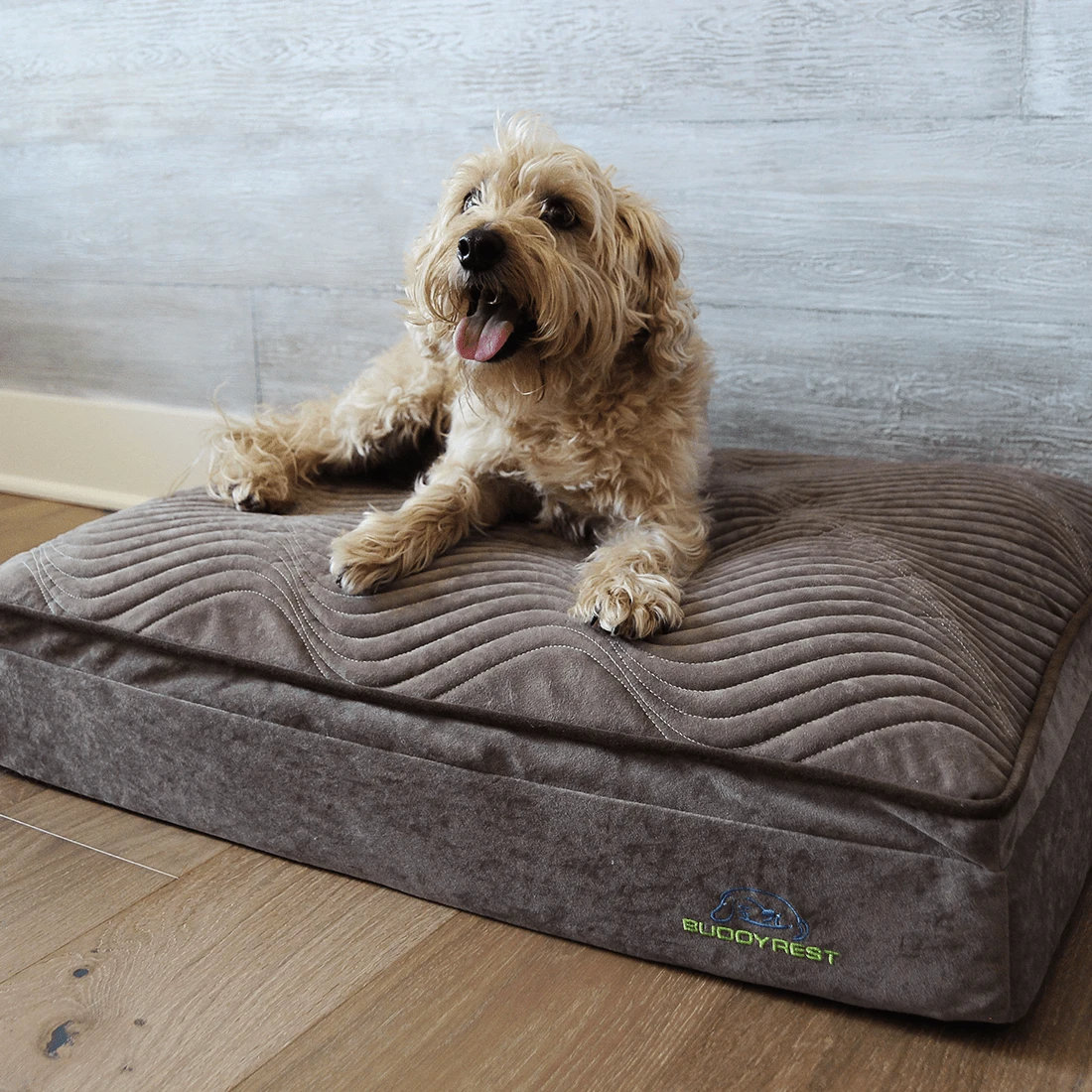 buddyrest dog bed