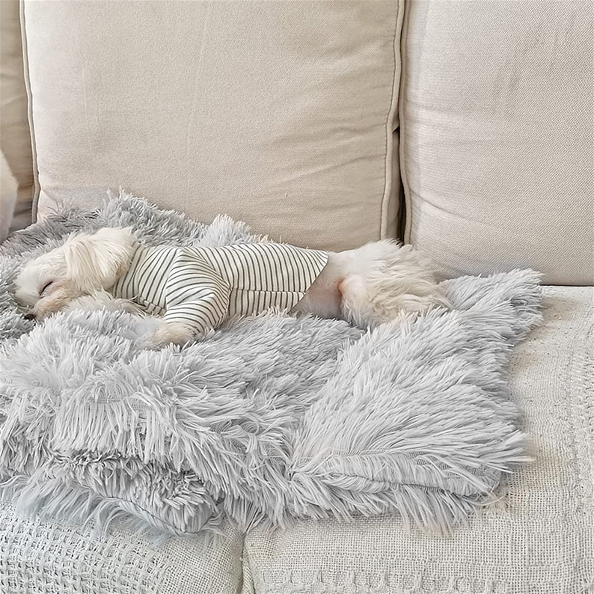 fur proof blanket